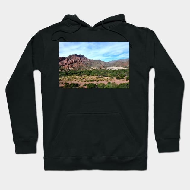 Argentine - Quebrada de las Conchas Hoodie by franck380